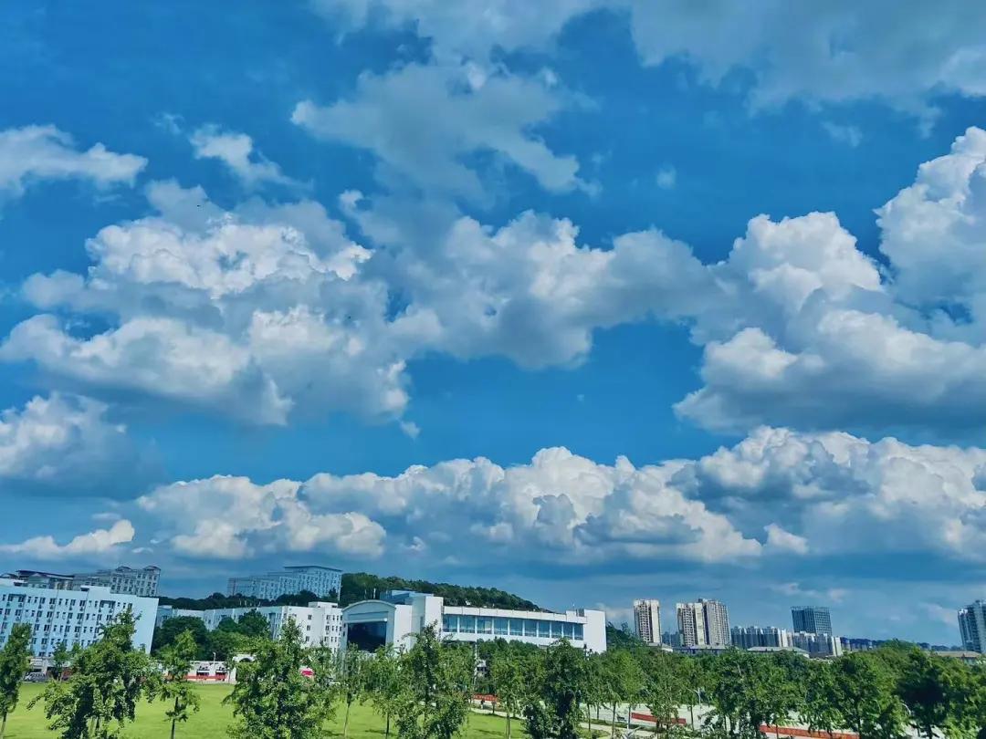 爸妈,我在学校挺好的!武昌理工学院大一新生的“回信”