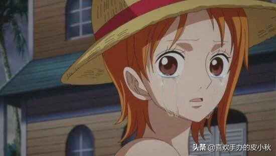 我的航海士,航海王热血航线夏日娜美图片