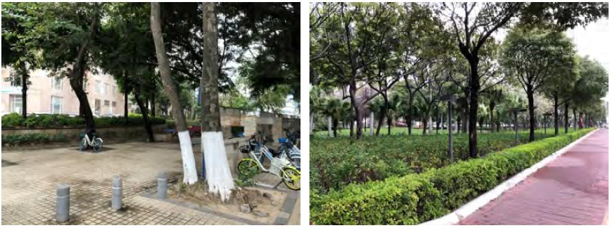 汕头金砂东路品质提升改造,汕头金砂东路改造规划图