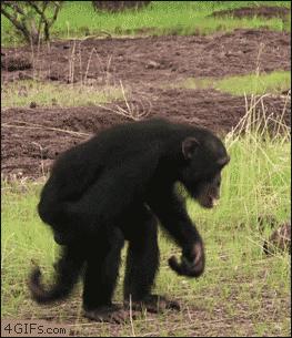 每天深蹲一百个能瘦么,每天20个标准深蹲有效果