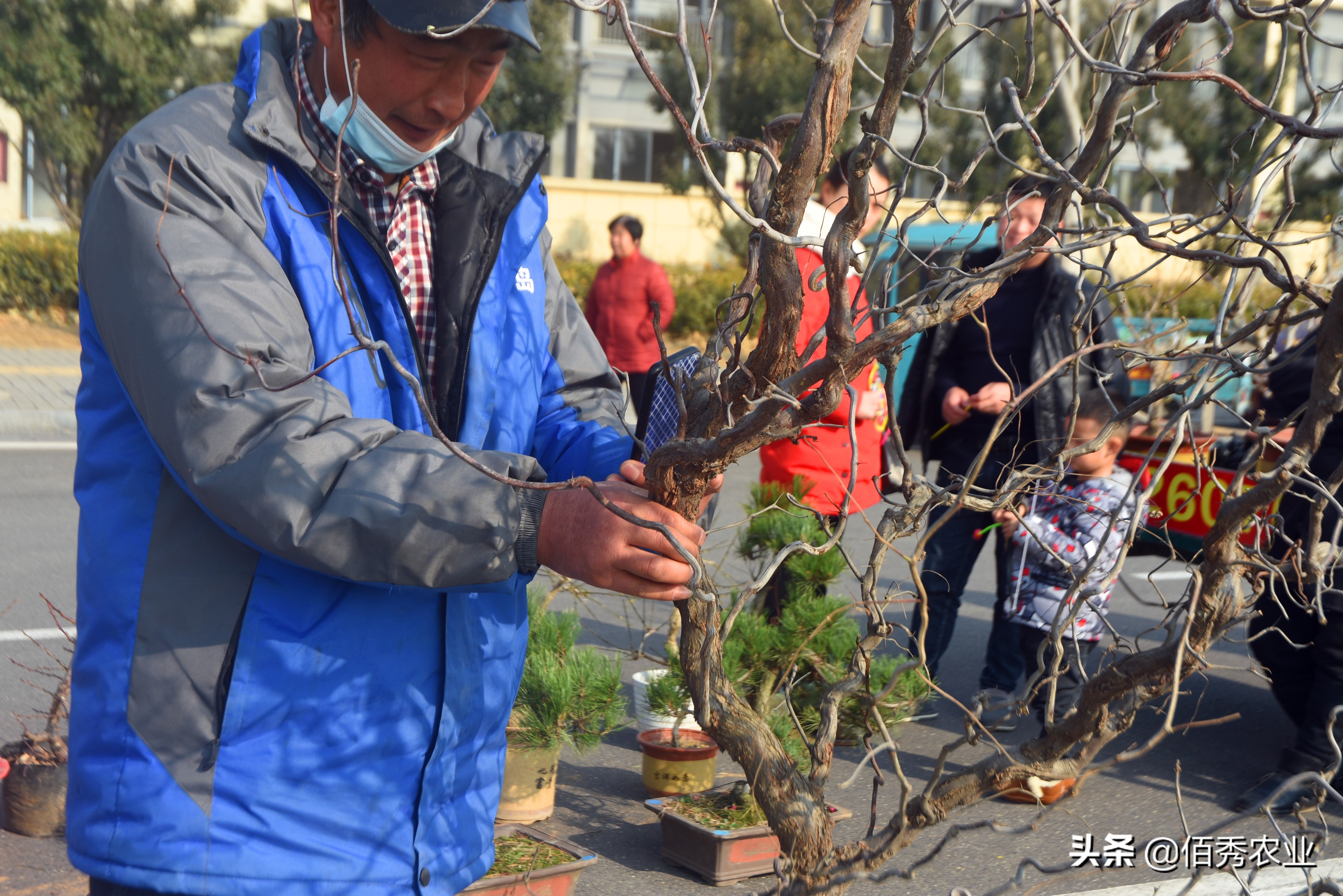 <html>
<head><title>502BadGateway</title></head>
<body>
<center><h1>502BadGateway</h1></center>
<hr><center>nginx</center>
</body>
</html>
<!--apaddingtodisableMSIEandChromefriendlyerrorpage-->
<!--apaddingtodisableMSIEandChromefriendlyerrorpage-->
<!--apaddingtodisableMSIEandChromefriendlyerrorpage-->
<!--apaddingtodisableMSIEandChromefriendlyerrorpage-->
<!--apaddingtodisableMSIEandChromefriendlyerrorpage-->
<!--apaddingtodisableMSIEandChromefriendlyerrorpage-->
