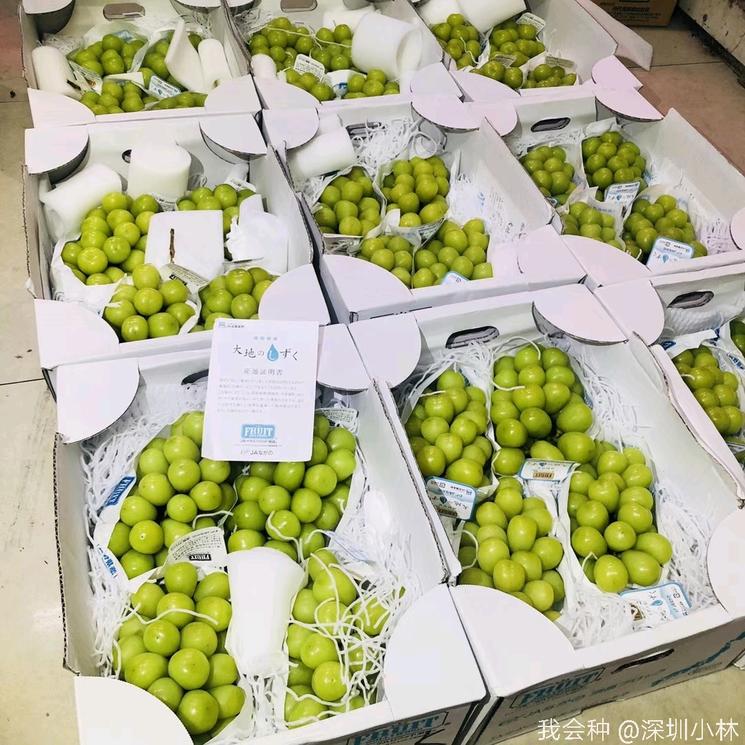 顶级阳光—大地之水一箱4串，2000元！网友：每一颗都是钱的味道