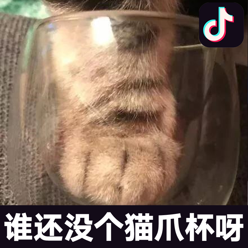 我们是要交智商税的钱多人傻还是被人套路了？网红的樱花猫爪杯