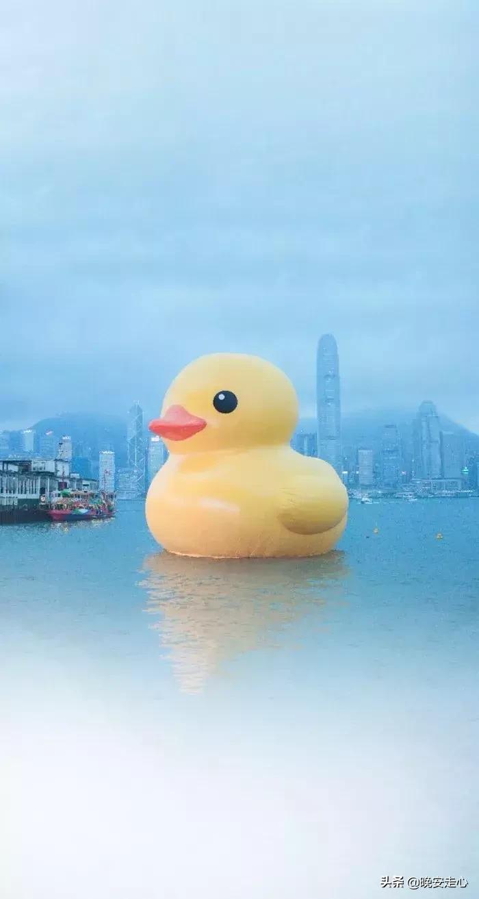 同甘共苦你不陪荣华富贵你来追,男人只能同甘共苦不能荣华富贵