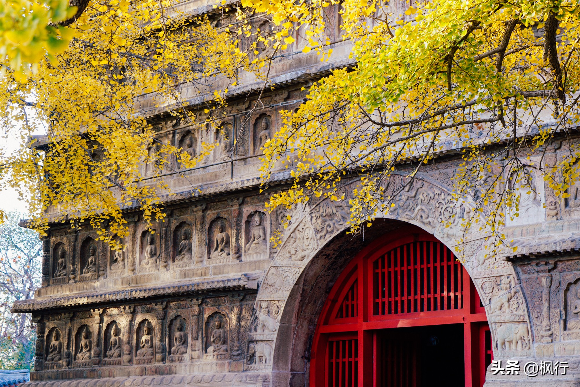 北京18个看银杏的好地方在哪,北京八大处看银杏攻略