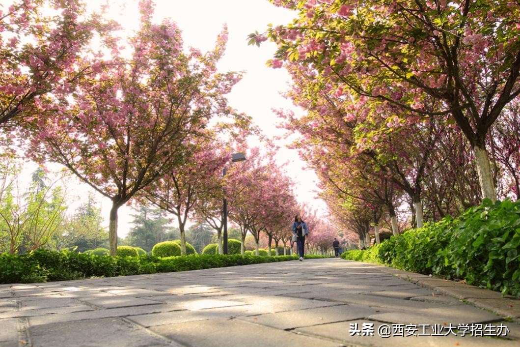 西工女孩:大一开始创业,日均利润已超5000元,还定下100万小目标