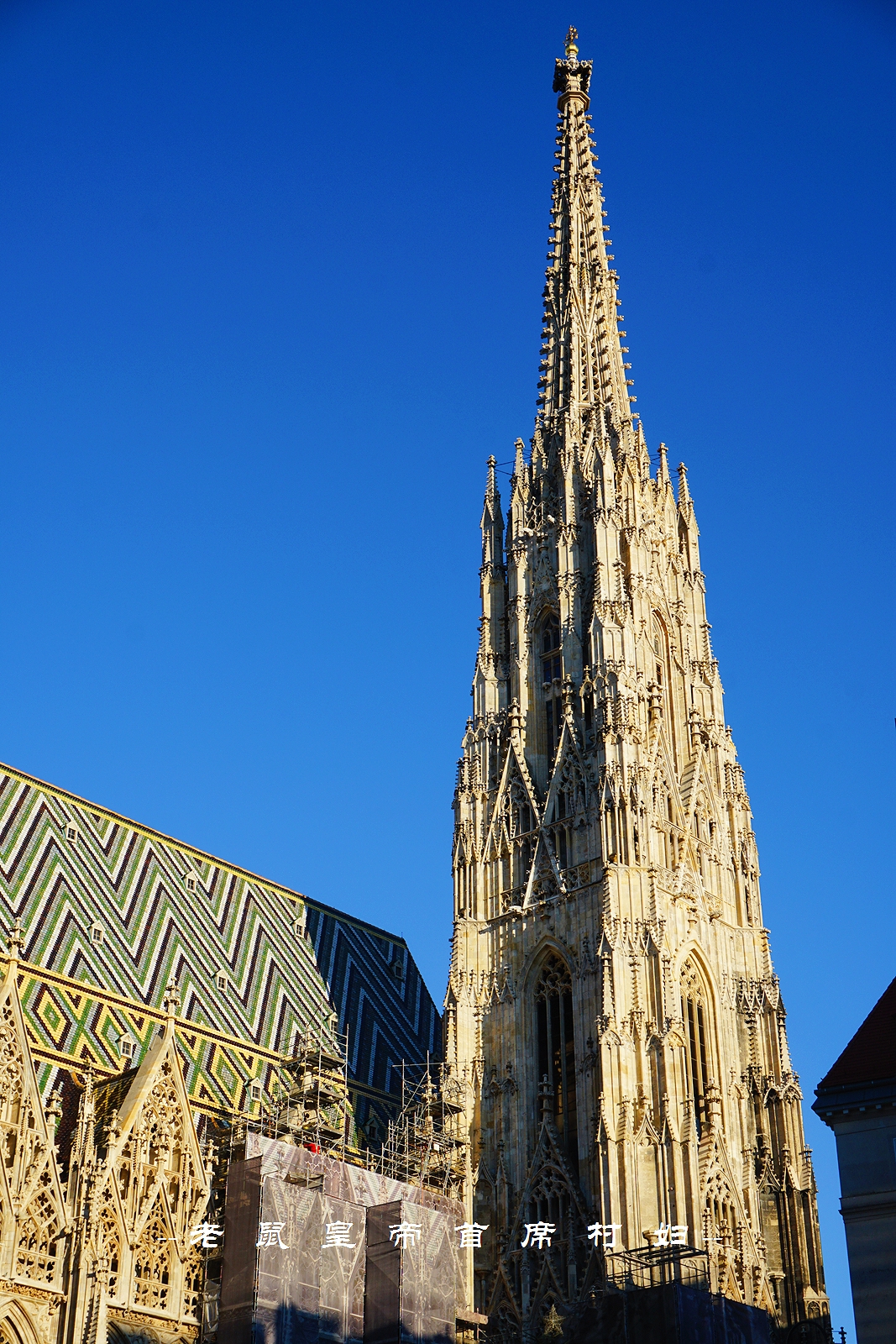 世界音乐之都维也纳800岁的“南京路”:去买茜茜公主的同款香水