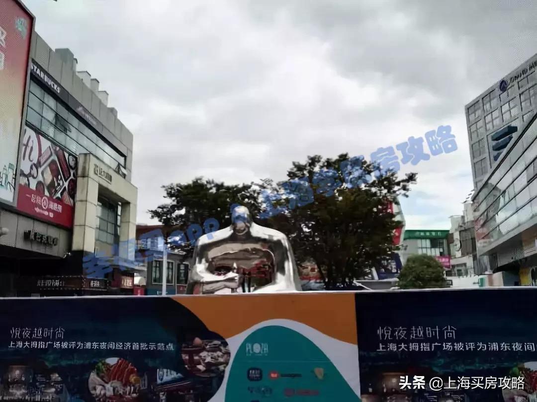 爱建园小区最好的楼盘,上海碧云爱建园复式