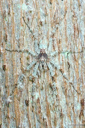 摄影金奖作品风景高清,风光摄影得奖照片