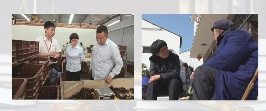 陈艳红合肥,陈艳红公安