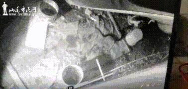 蛇怕鹅鸭粪,蛇怕鹅粪科学解释