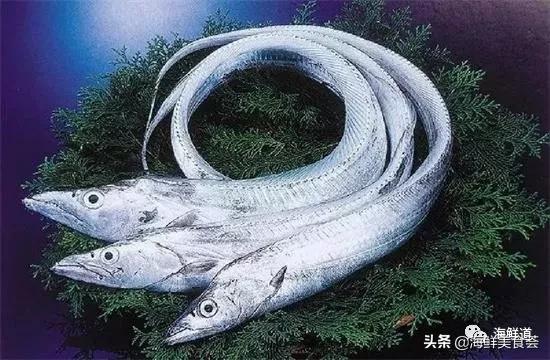 好吃不贵的海鲜种类有哪些,最好吃又最常见海鲜有几种