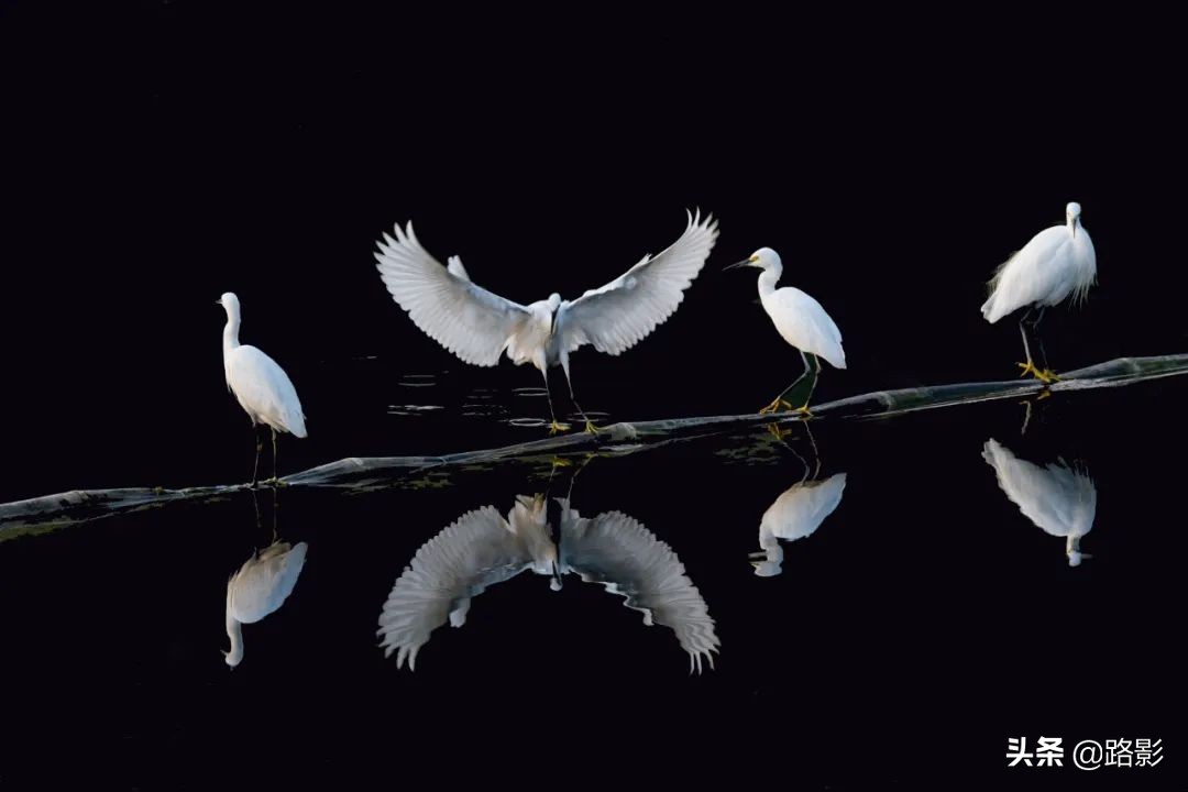 花重锦官城,花重锦官城长安