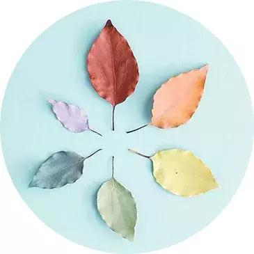 旅游天津周边哪好玩,天津旅游有海的地方