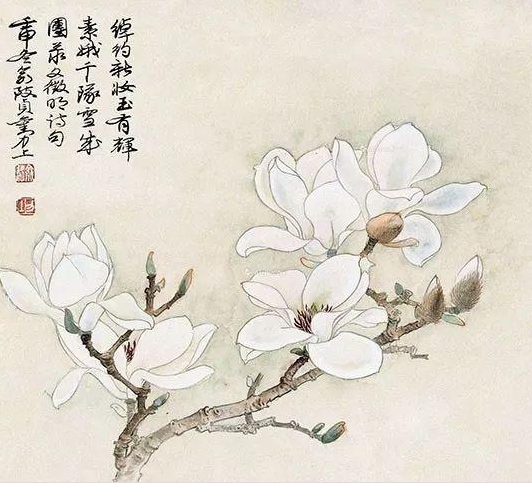 如此高花白于雪，年年偏是斗风开。盛开在诗词中的玉兰花