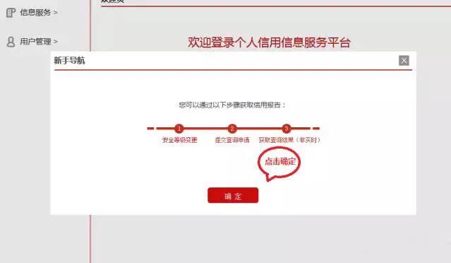 网版征信查询上征信吗,网查征信为什么是简版的