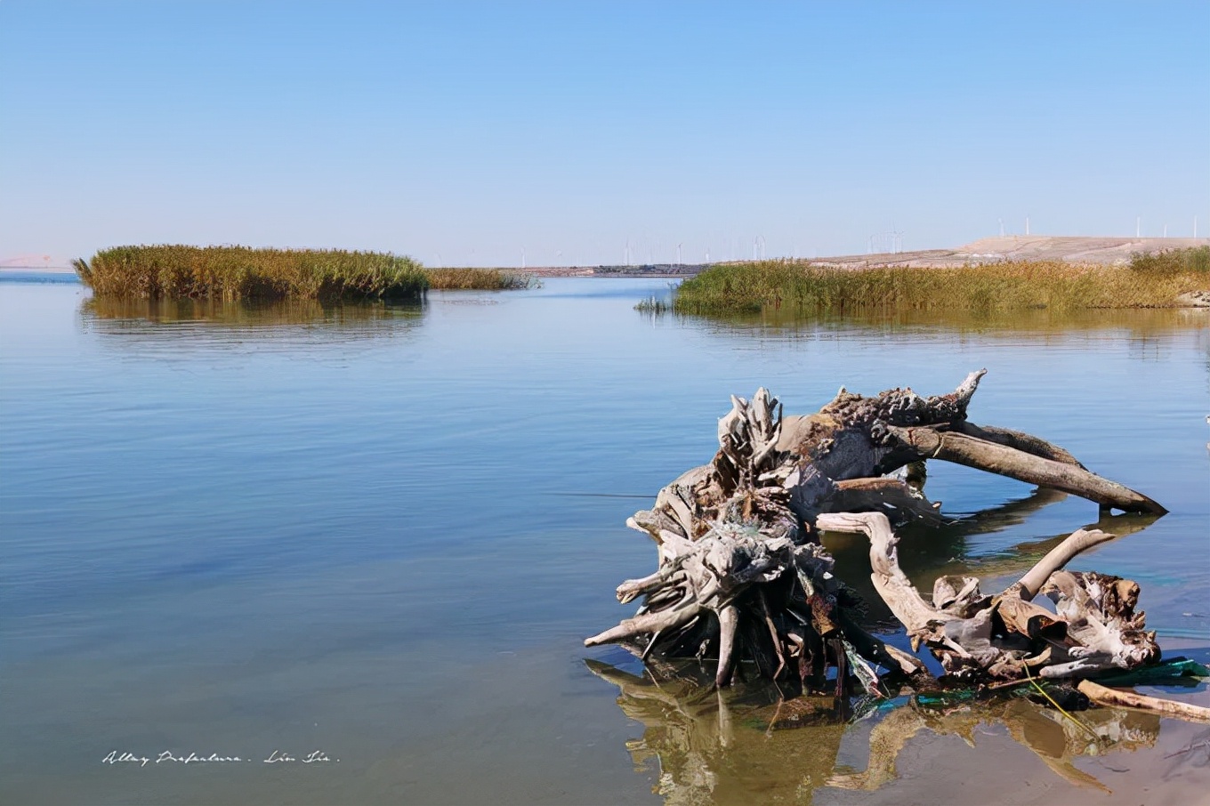 北疆四季,北疆的四季美景