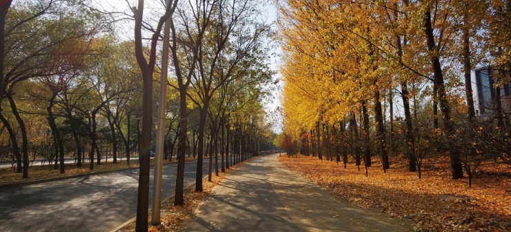 温阳路地铁站地图,温阳路地铁