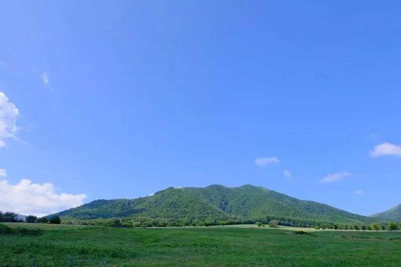 晴王跟阳光玫瑰口感味道都一样吗,日本晴王和阳光玫瑰的区别