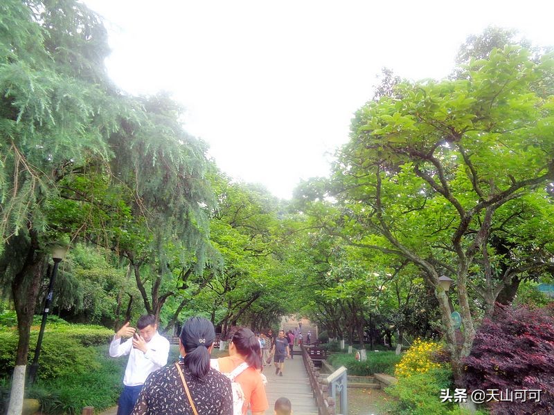 西湖一日游西湖景色到底有多美,再说一遍西湖之美