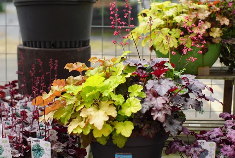 三年前买了套绿地110平三房130万,三年前耗资百万打造小院出售