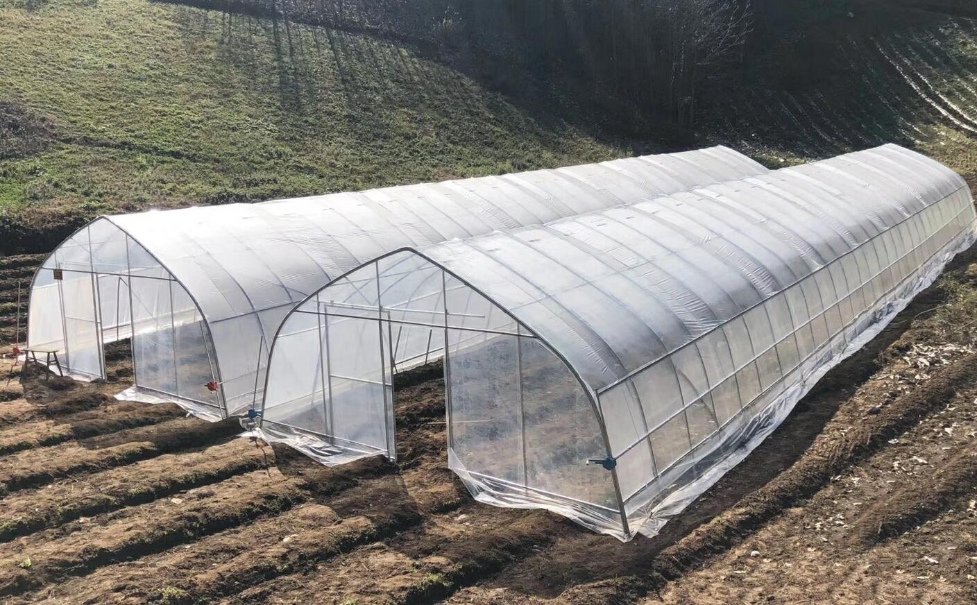 蔬菜大棚最省钱的建造方法,钢结构蔬菜大棚造价每亩多少