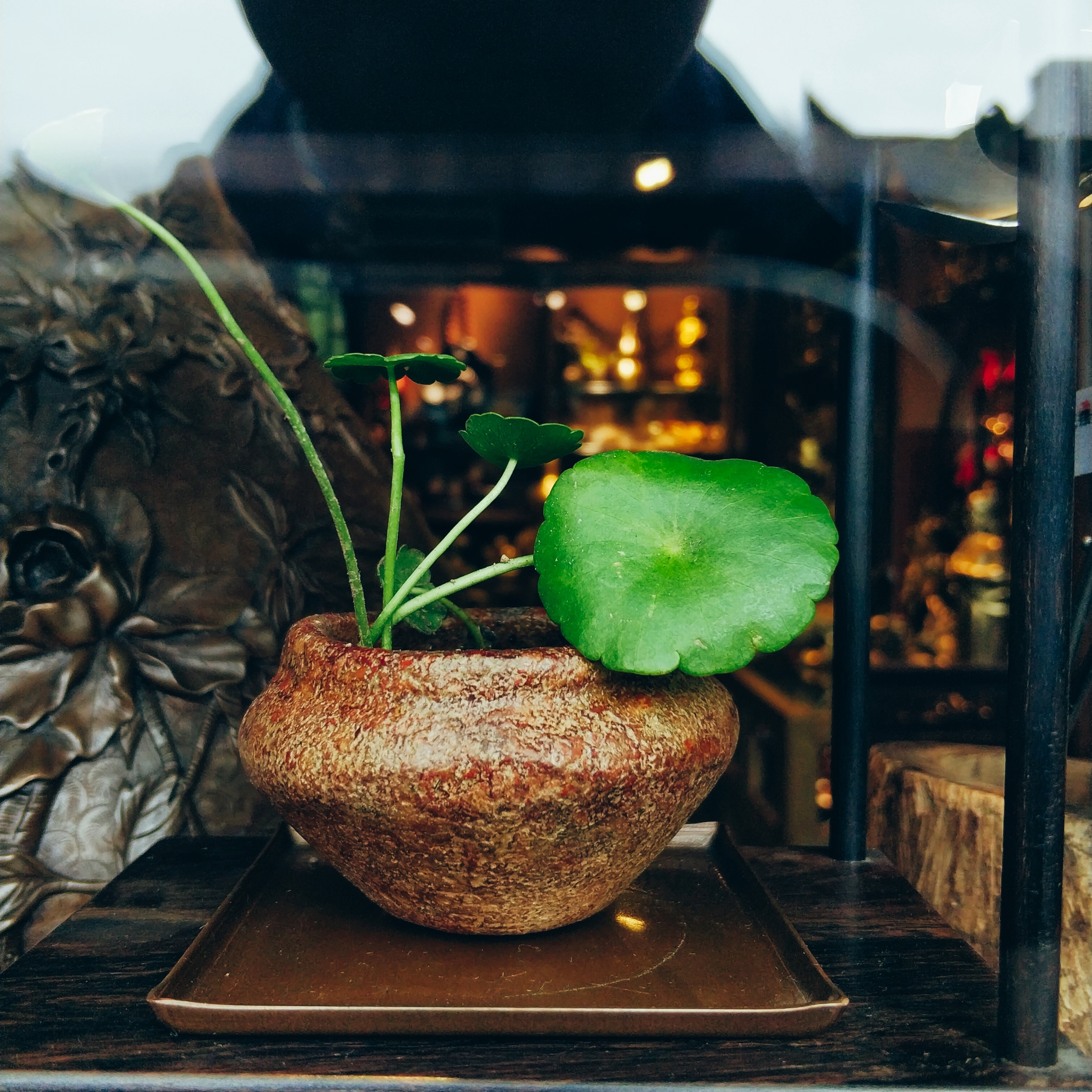 川藏线骑行从成都还是拉萨开始,318川藏线成都到拉萨骑行赛