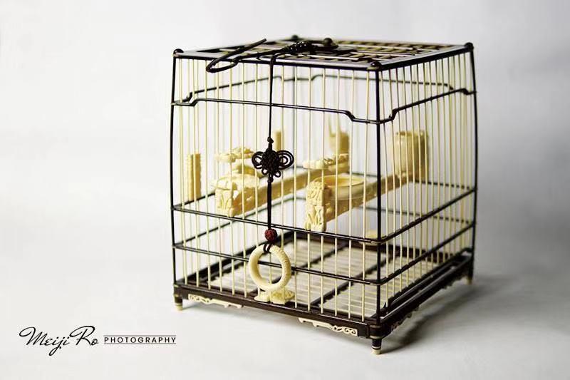 铁鸟笼制作方法全过程视频,中国传统文化鸟笼