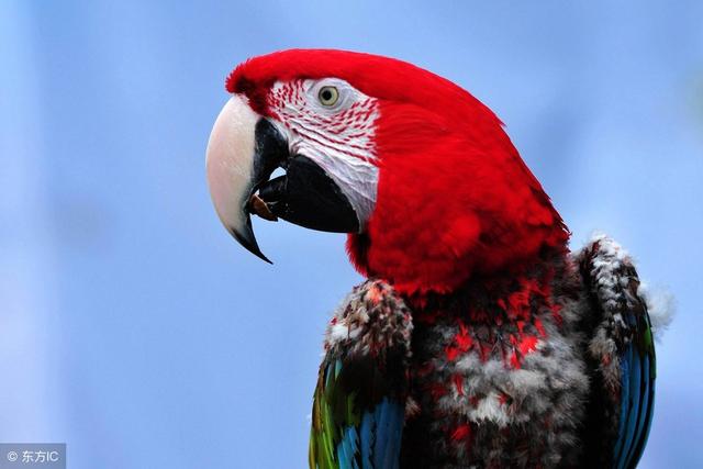 68个励志经典小故事大道理,50个哲理小故事简短