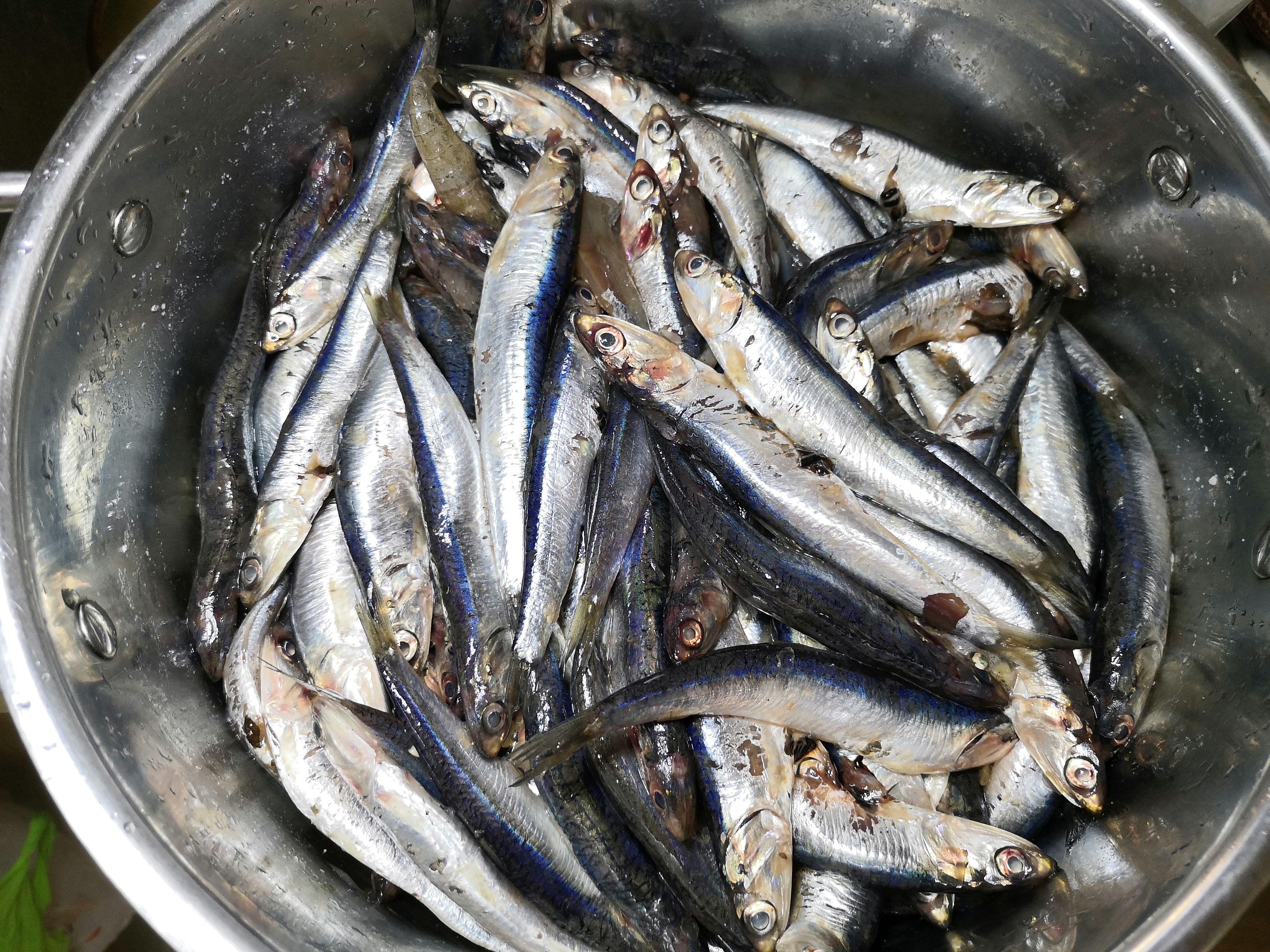 晒鱼干怎么晒好吃又简单,怎么晒鱼干才好吃