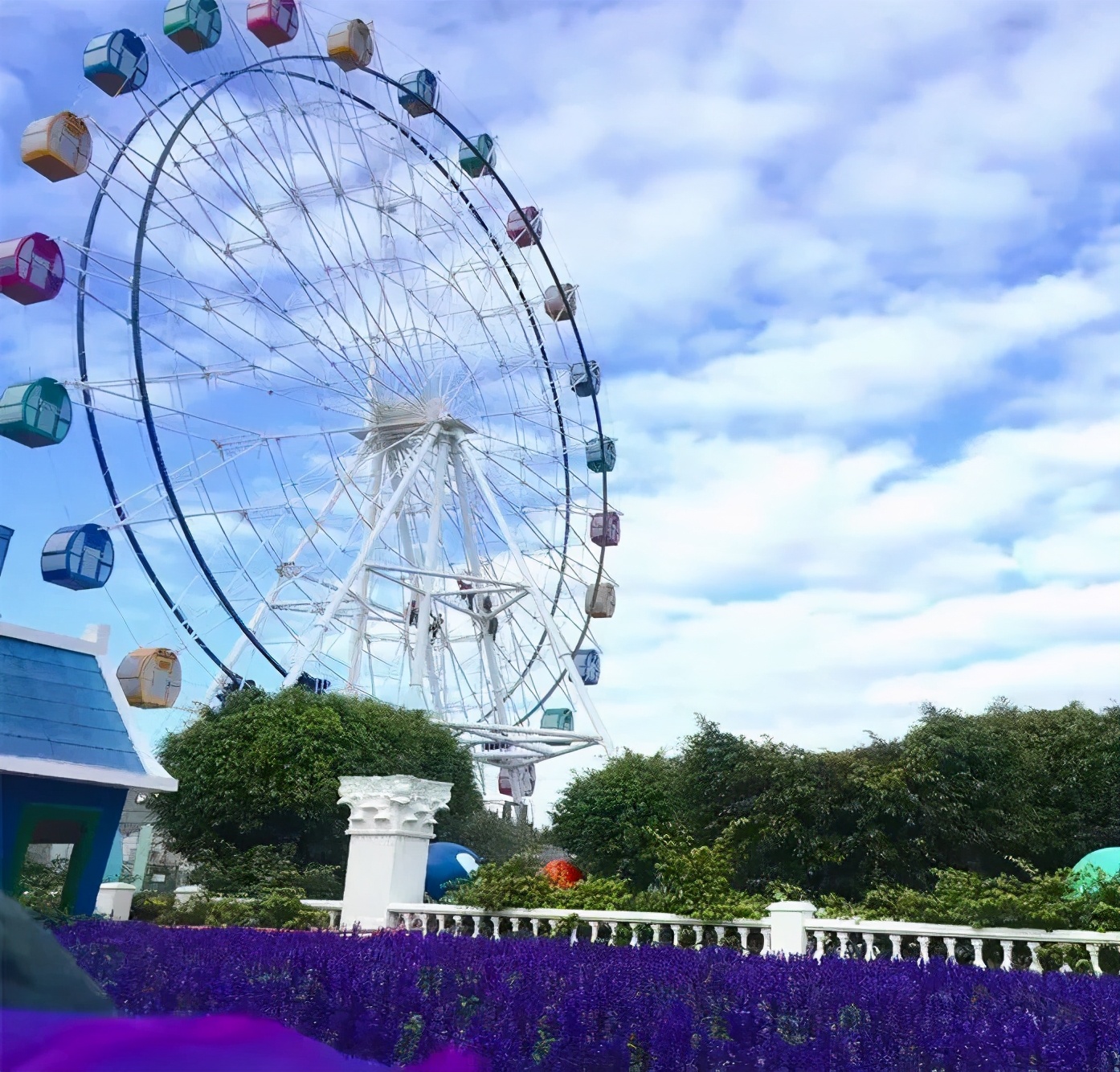 南沙葵园花海景区,广州南沙万顷葵园最佳旅游时间