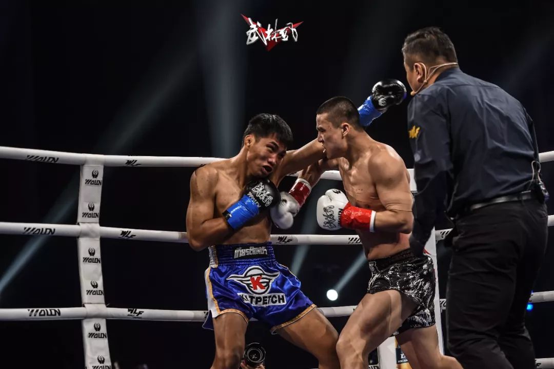 八卦掌格斗演示,八卦掌连环掌打法