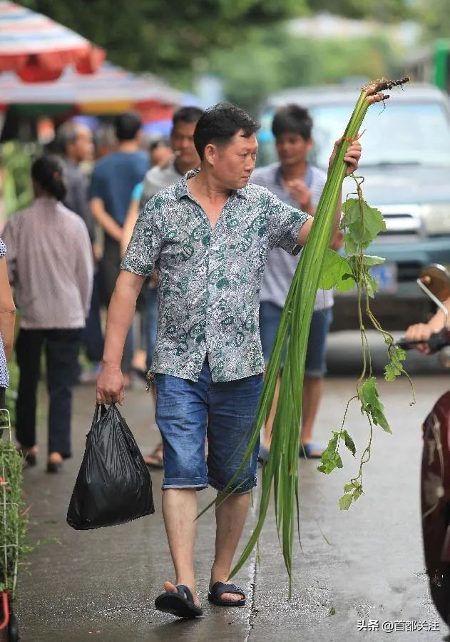 古人“防疫日”，又闻草木香，今日端午，愿您安康