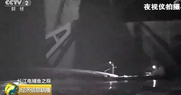 刑法规定的禁止使用捕鱼方法,非法捕鱼为什么屡禁不止