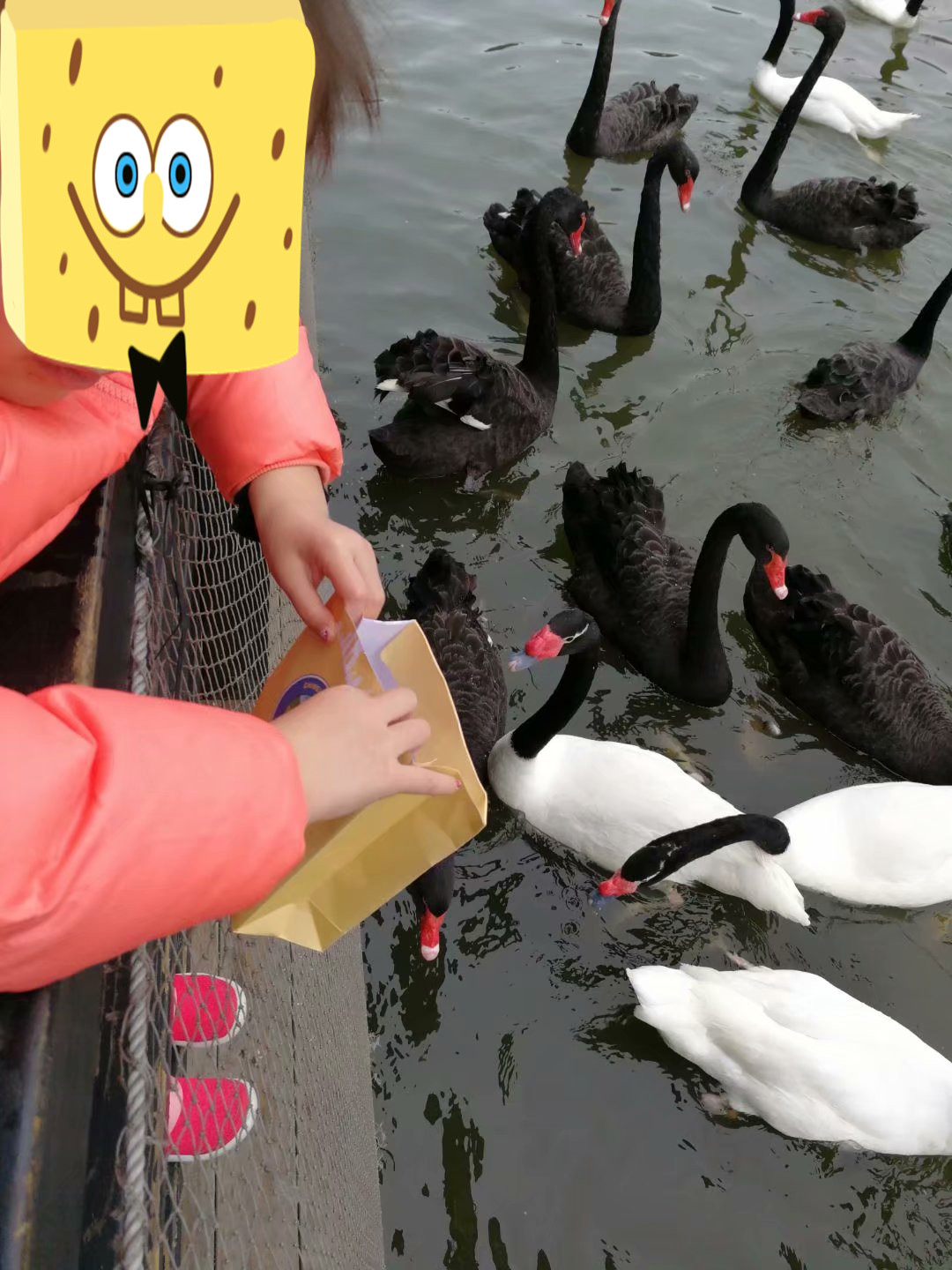 广州长隆海洋王国和珠海海洋王国,广州长隆海洋王国和珠海长隆