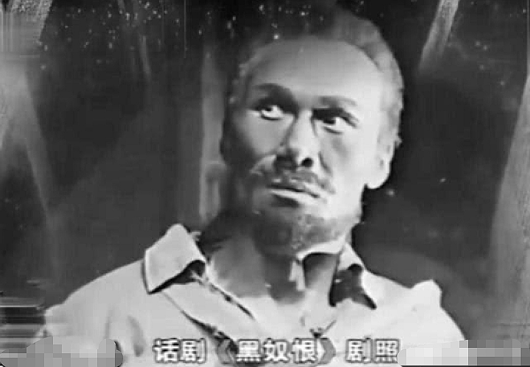 篱笆女人和狗田成仁扮演者,篱笆墙的女人田成仁