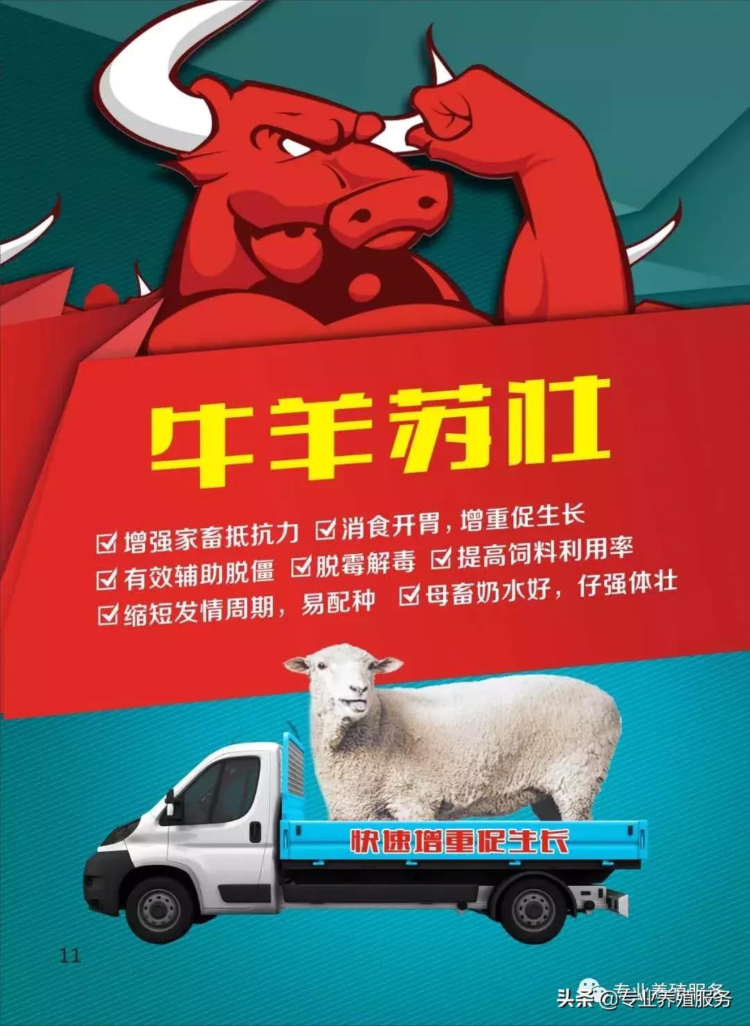 羔羊腿软站不起来与三种疾病有关,羔羊腿软站不起来怎么治疗