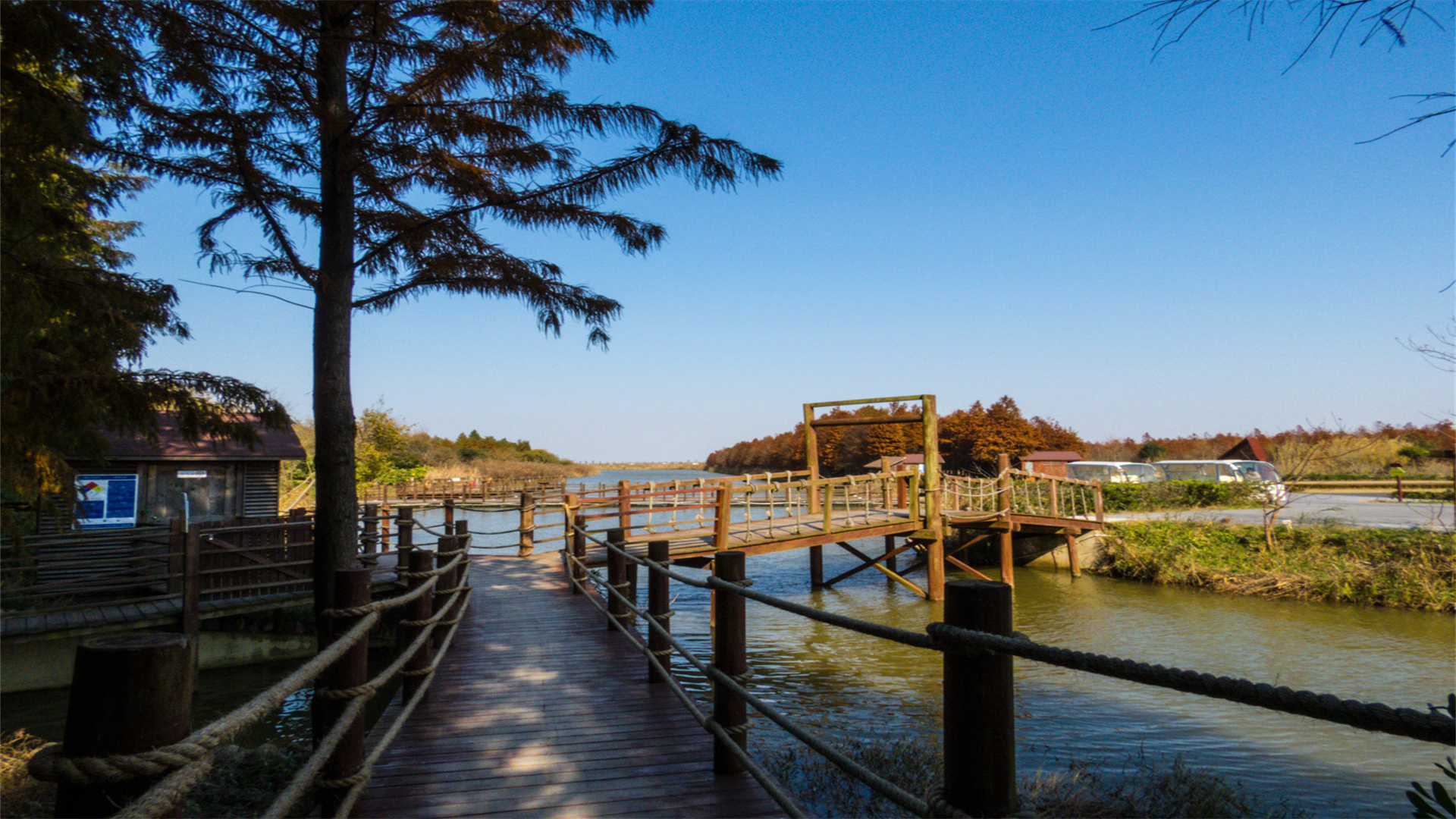 上海崇明岛有哪些旅游景点值得玩,上海崇明岛值不值得去玩