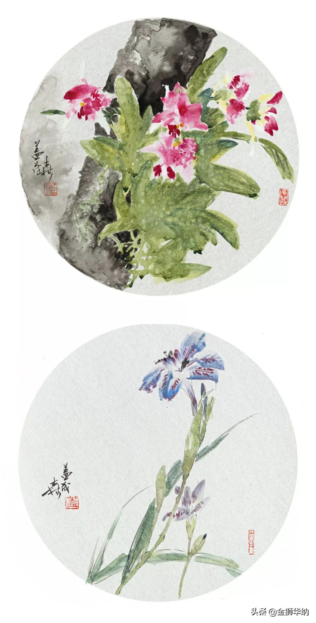 鑺卞紑绻佽寕,鑺卞紑鑼傜洓