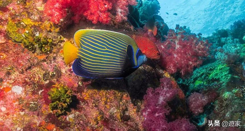 泰国看日落最好的地方,来泰国旅游景区