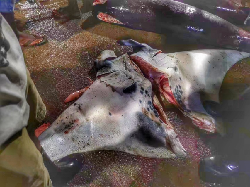 说走就走的旅行拒绝私聊,说走就走旅行没有尔虞我诈