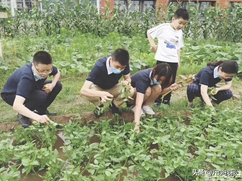 凭什么？开学第一天，重庆这所学校就火上了人民日报