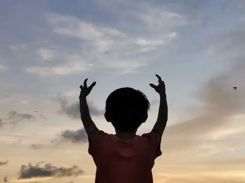 点赞他们的高光时刻,大家用手机拍出过什么好看的照片