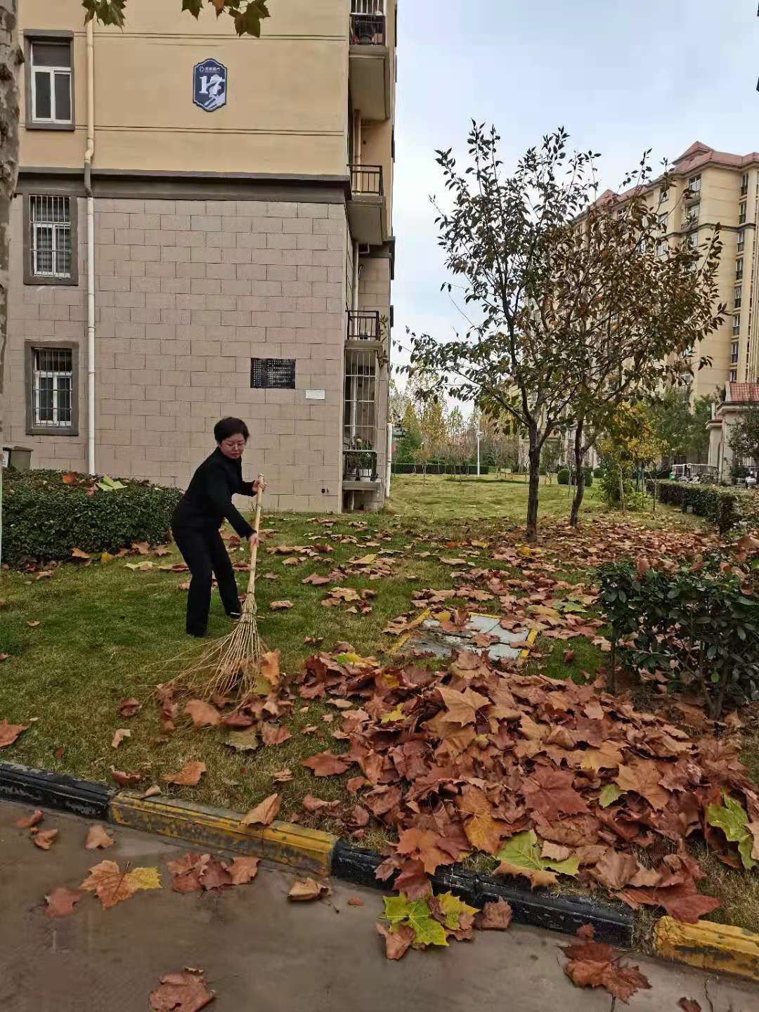 凤凰城二期物业管理,凤凰城物业现状