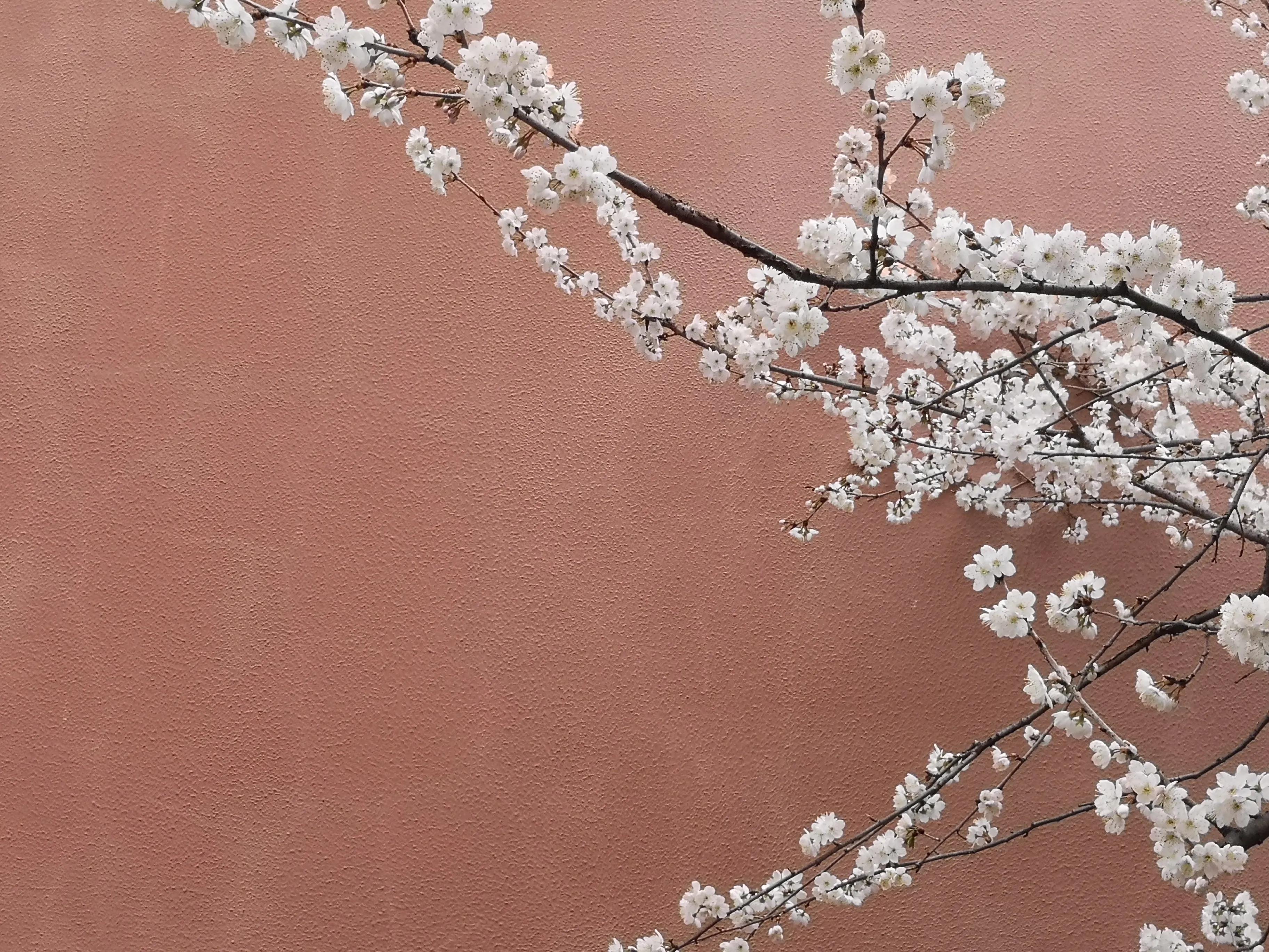 内直而外曲,内直外曲是什么处世之道