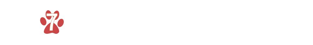 养猫人哭了 (朝九晚五适合养猫吗)