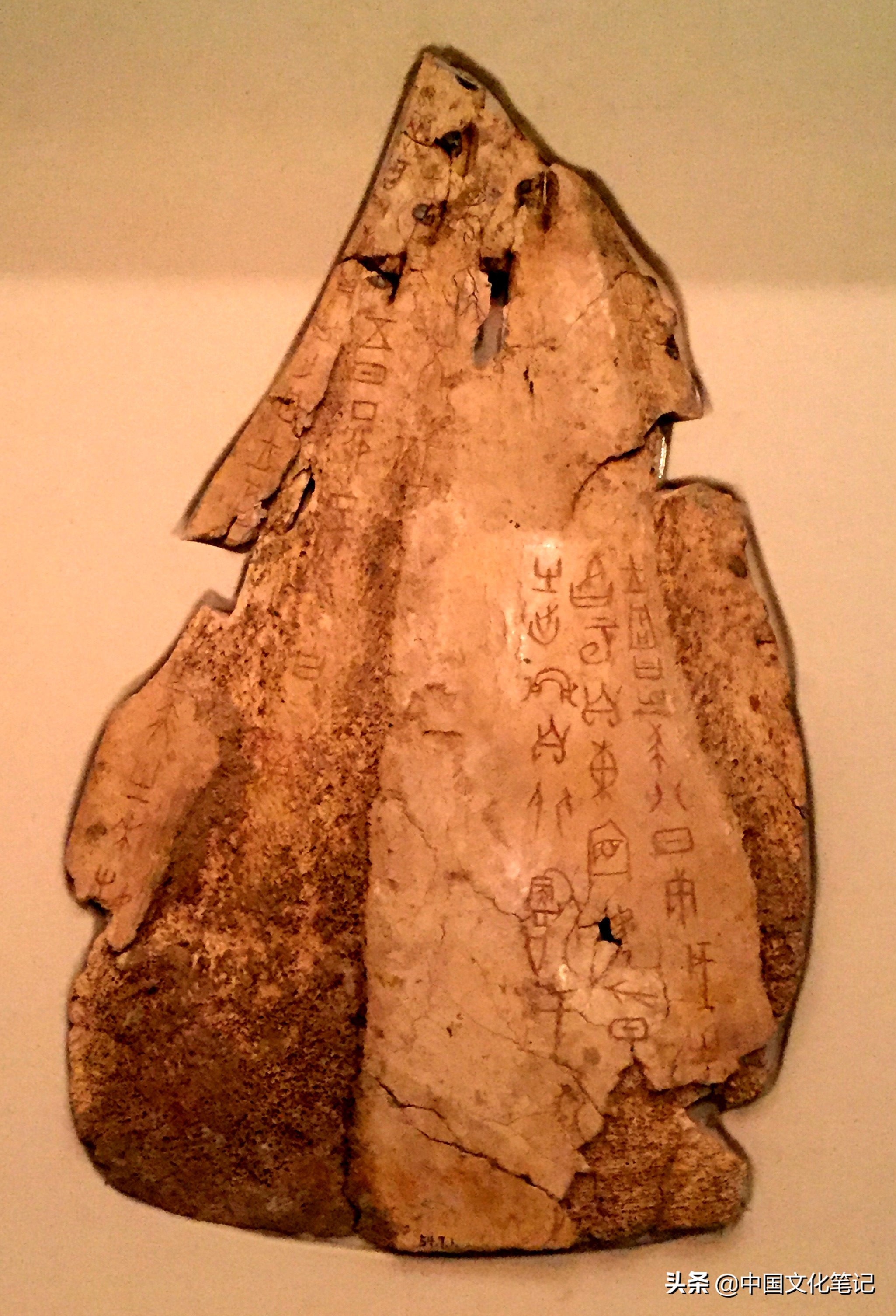 远古时期骨器,连骨头都不剩的排骨