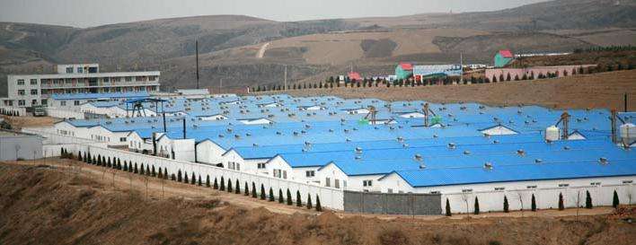 养猪场办理环评需要多少钱,新建猪场环评怎么过