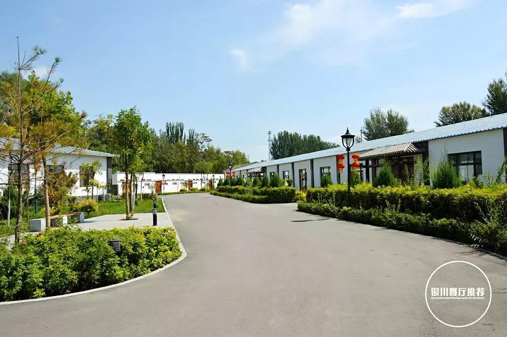 银川清真的农家乐烤全羊哪家好吃,银川烤全羊的海鲜自助推荐