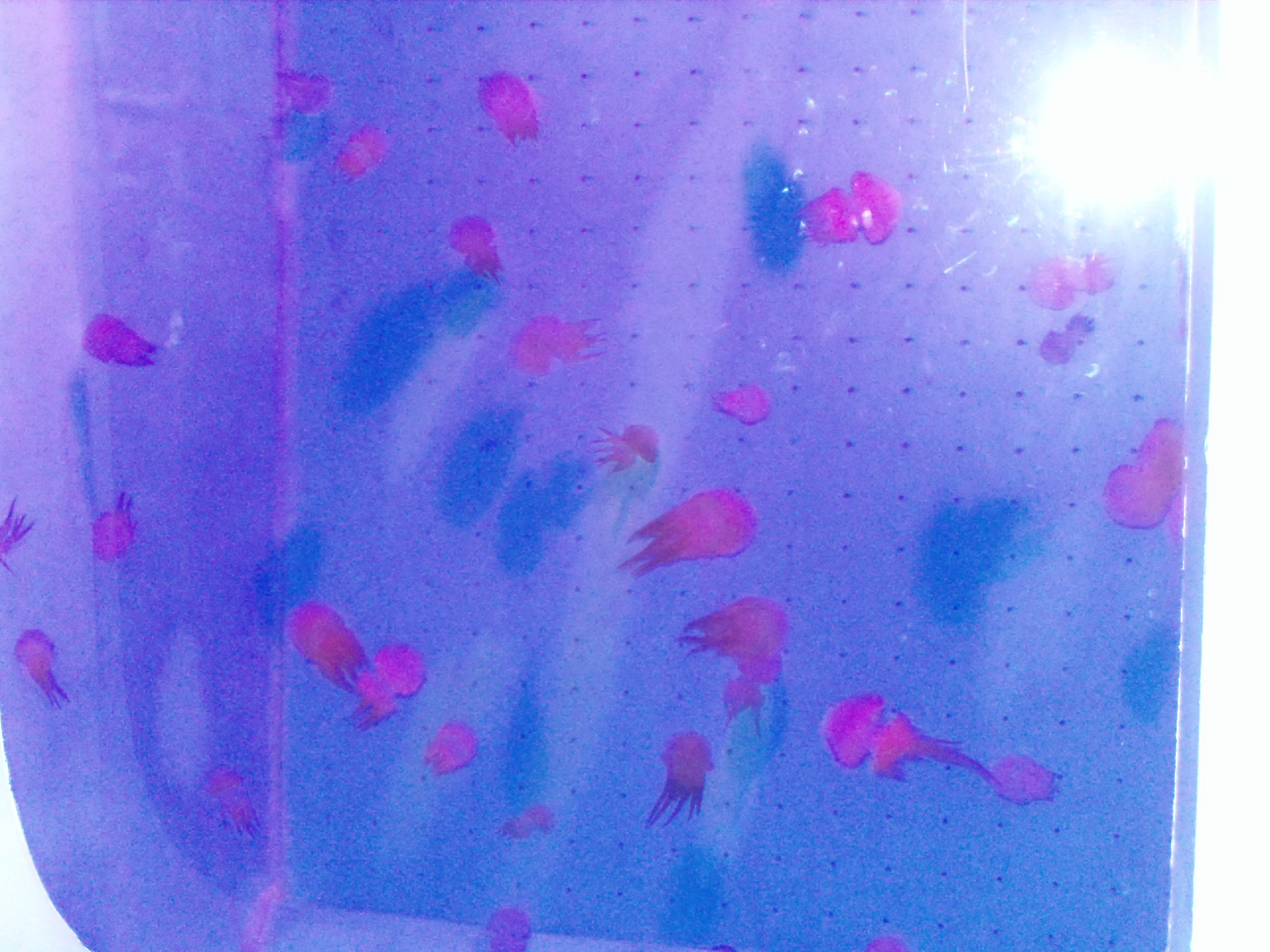 泉城海洋极地世界游玩攻略,泉城海洋极地世界官网